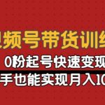 （4446期）视频号带货训练营：0粉起号快速变现，新手也能实现月入10w+