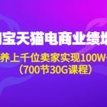 （4409期）淘系天猫电商业绩增长：已培养上千位卖家实现100W+利润（700节30G课程）