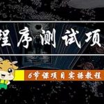 （4226期）小程序测试项目 从星图 搞笑 网易云 实拍 单品爆破 抖音抖推猫小程序变现
