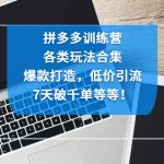 （4693期）拼多多训练营：各玩法合集，爆款打造，低价引流，7天破千单等等！