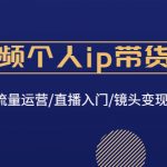 （4595期）短视频个人ip带货变现：爆款文案/流量运营/直播入门/镜头变现/流量商业