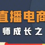 （4200期）直播电商高手成长之路：教你成为直播电商大师，玩转四大板块（25节）