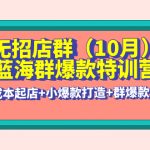 （4182期）无招店群·蓝海群爆款特训营(10月新课) 低成本起店+小爆款打造+群爆款维护