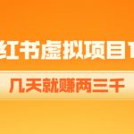 （4131期）《小红书虚拟项目1.0》账号注册+养号+视频制作+引流+变现，几天就赚两三千