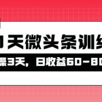 （4129期）被忽视的微头条，21天微头条训练营，实操3天，日收益60-80不等