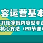 （10285期）内容运营-基本功：从零开始掌握内容型平台运营核心方法（20节课）