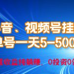 （10295期）24年最新抖音、视频号0成本挂机，单号每天收益上百，可无限挂