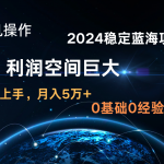 2024新蓝海项目 无门槛高利润长期稳定  纯手机操作 单日收益3000+ 小白当天上手