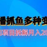 水边直播抓鱼，多种变现途径冷门项目，月入200w拆解【揭秘】