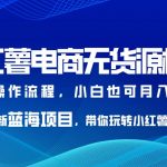 小红薯电商无货源模式，最新蓝海项目，带你玩转小红薯，小白也可月入2w+【揭秘】
