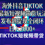 （10320期）海外短视频带货，最新短视频带货玩法发布到提现全闭环，日入2000+