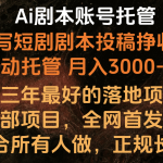 内部落地项目，全网首发，Ai剧本账号全托管，月入躺赚3000-6000，长期稳定好项目。