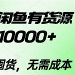 （10338期）2024闲鱼有货源，月入10000+2024闲鱼有货源，月入10000+