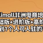 kilimall非洲电商培训，基础版+进阶版+高阶版 从0-1个人可入驻的平台（12节）