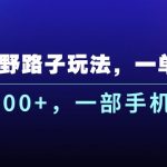 （10909期）抖音野路子玩法，一单35.日入3000+，一部手机可操作