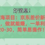 （10989期）越早知道越能赚到钱的蓝海项目：京东大平台操作，一单利润20-30，简单…