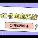 小红书电商实战营：小红书笔记带货和无人直播，24年6月新课