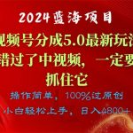 （11032期）2024蓝海项目，视频号分成计划5.0最新玩法，错过了中视频，一定要抓住…