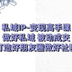 私域IP变现高手课：做好私域被动成交，打造好朋友圈做好社群（18节）