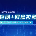 （11194期）【2024下半年新思路】短剧+网盘拉新，适合普通人每月躺赚1w+的小副业