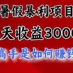 暑假暴力项目 1天收益3000+，视频号，快手，不露脸直播.次日结算
