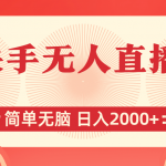 （11525期）快手无人直播，简单无脑，日入2000+